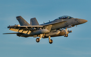 United States Navy Boeing EA-18G Growler (169211) at  Whidbey Island - Naval Air Station, United States