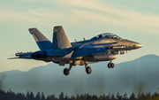 United States Navy Boeing EA-18G Growler (169211) at  Whidbey Island - Naval Air Station, United States