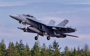 United States Navy Boeing EA-18G Growler (169212) at  Coupeville - Naval Outlying Field, United States