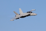 United States Navy Boeing EA-18G Growler (169216) at  Oshkosh - Wittman Regional, United States