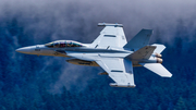 United States Navy Boeing EA-18G Growler (169216) at  Off-Airport, United States