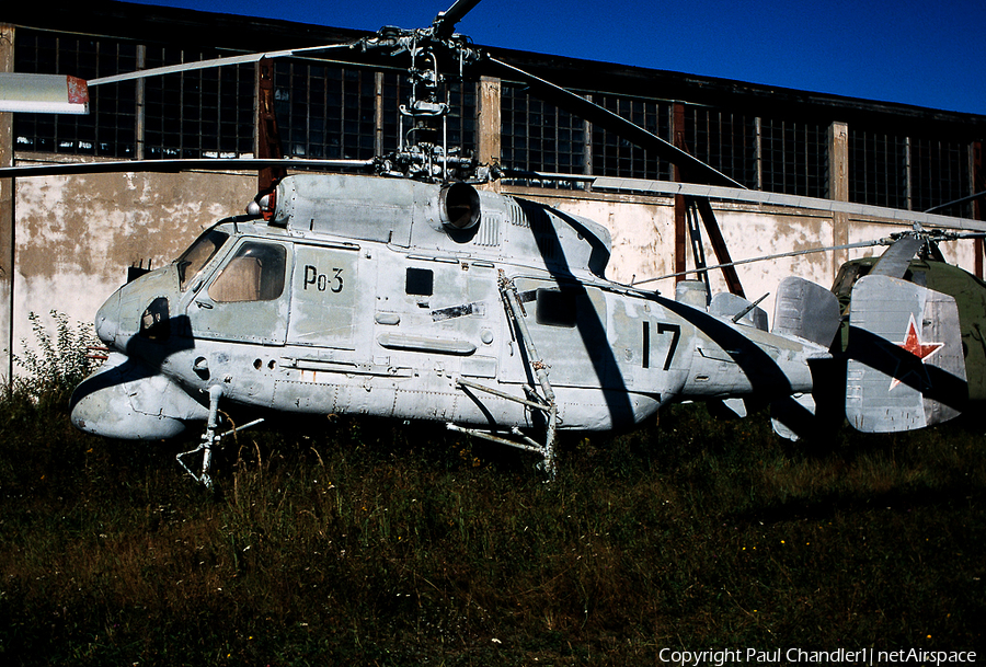 Soviet Union Air Force Kamov Ka-25BSh Hormone-A (17) | Photo 75445