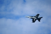 United States Navy Boeing EA-18G Growler (17****) at  St. Louis - Lambert International, United States