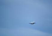 United States Navy Boeing EA-18G Growler (17****) at  St. Louis - Lambert International, United States