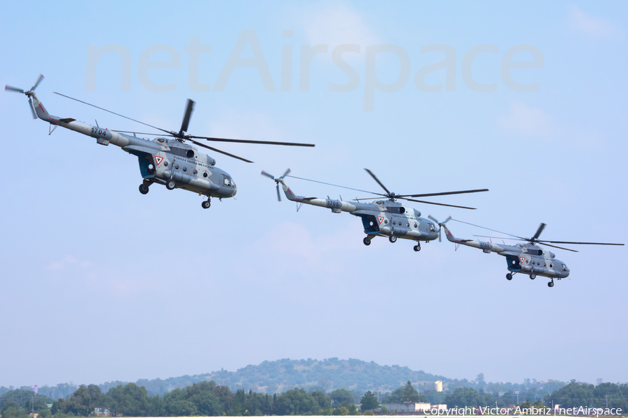 Mexican Air Force (Fuerza Aerea Mexicana) Mil Mi-17-1V Hip-H (1704) | Photo 120816