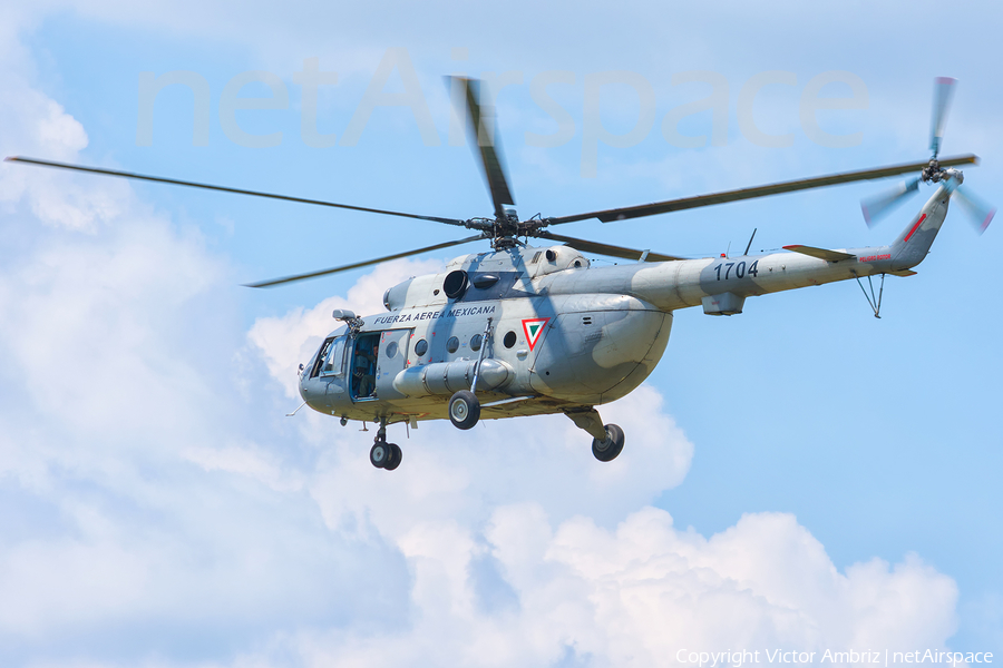 Mexican Air Force (Fuerza Aerea Mexicana) Mil Mi-17-1V Hip-H (1704) | Photo 120937