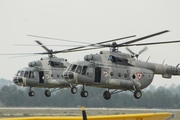 Mexican Air Force (Fuerza Aerea Mexicana) Mil Mi-17-1V Hip-H (1705) at  Mexico City - Santa Lucia, Mexico
