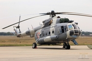 Mexican Air Force (Fuerza Aerea Mexicana) Mil Mi-17 Hip-H (1708) at  Mexico City - Santa Lucia, Mexico