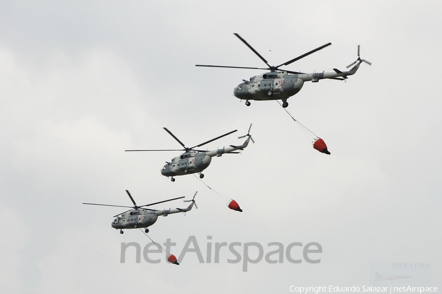 Mexican Air Force (Fuerza Aerea Mexicana) Mil Mi-17 Hip-H (1708) | Photo 92899