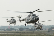 Mexican Air Force (Fuerza Aerea Mexicana) Mil Mi-17-1V Hip-H (1723) at  Mexico City - Santa Lucia, Mexico