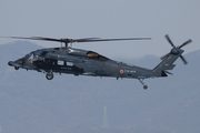 Japan Air Self-Defense Force Sikorsky UH-60J Black Hawk (18-4574) at  Nagoya - Komaki, Japan