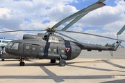 Mexican Air Force (Fuerza Aerea Mexicana) Mil Mi-8T Hip-C (1810) at  Mexico City - Santa Lucia, Mexico