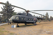 Mexican Air Force (Fuerza Aerea Mexicana) Mil Mi-8T Hip-C (1810) at  Mexico City - Santa Lucia, Mexico