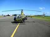 Dominican Republic Army (Ejército de República Dominicana) Robinson R22 Beta II (ERD-1846) at  Santo Domingo - San Isidro Air Base, Dominican Republic