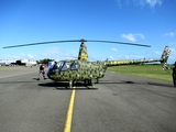 Dominican Republic Army (Ejército de República Dominicana) Robinson R44 Raven (ERD-1850) at  Santo Domingo - San Isidro Air Base, Dominican Republic