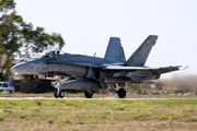 Canadian Armed Forces McDonnell Douglas CF-188A Hornet (188783) at  Luqa - Malta International, Malta