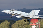 Canadian Armed Forces McDonnell Douglas CF-188A Hornet (188791) at  Ostrava - Leos Janacek, Czech Republic