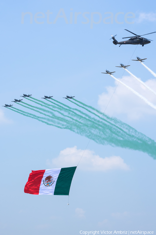 Mexican Air Force (Fuerza Aerea Mexicana) Sikorsky UH-60L Black Hawk (1901) | Photo 120823