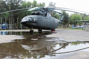 Mexican Air Force (Fuerza Aerea Mexicana) Mil Mi-26T Halo (1902) at  Mexico City - Santa Lucia, Mexico