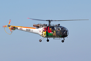Portuguese Air Force (Força Aérea Portuguesa) Aerospatiale SE3160 Alouette III (19376) at  Lisbon - Portela, Portugal