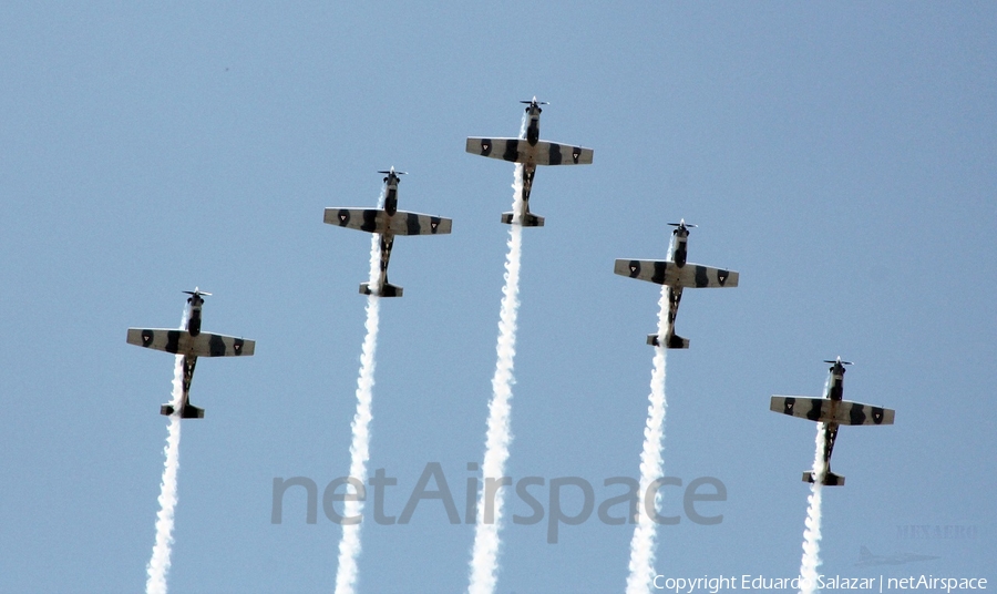 Mexican Air Force (Fuerza Aerea Mexicana) Raytheon T-6C Texan II (2003) | Photo 93409