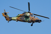 French Army (Armée de Terre) Eurocopter EC665 Tigre HAP (2009) at  Bückeburg - Heeresflugplatz, Germany