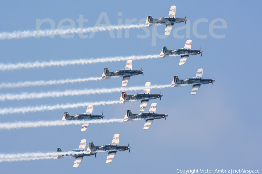 Mexican Air Force (Fuerza Aerea Mexicana) Raytheon T-6C Texan II (2021) | Photo 120824