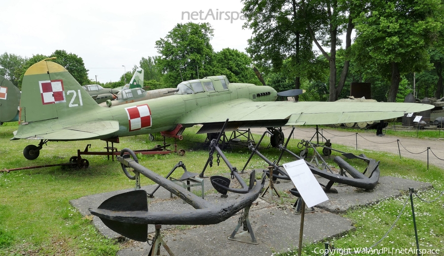 Polish Air Force (Siły Powietrzne) Ilyushin Il-2M3 (21) | Photo 450823