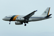 Brazilian Air Force (Forca Aerea Brasileira) Airbus A319-133X CJ (VC-1A) (FAB2101) at  Sao Paulo - Guarulhos - Andre Franco Montoro (Cumbica), Brazil