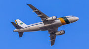 Brazilian Air Force (Forca Aerea Brasileira) Airbus A319-133X CJ (VC-1A) (FAB2101) at  Uberlândia - Tenente Coronel Aviador César Bombonato, Brazil