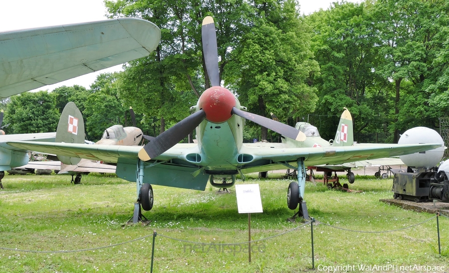 Polish Air Force (Siły Powietrzne) Yakovlev Yak-9P (23) | Photo 450825