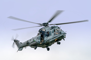 French Air Force (Armée de l’Air) Eurocopter H-36 Caracal (2461) at  Cazaux AB, France