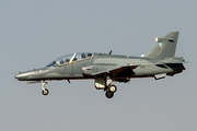 South African Air Force BAe Systems Hawk 120/LIFT (255) at  Johannesburg - O.R.Tambo International, South Africa