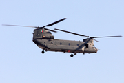 United Arab Emirates Air Force Boeing CH-47C+ Chinook (2558) at  Dubai - International, United Arab Emirates