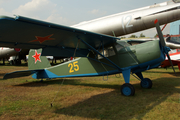 Soviet Union Air Force Yakovlev Yak-12R (25 YELLOW) at  Monino - Central Air Force Museum, Russia