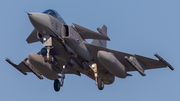Swedish Air Force (Flygvapnet) SAAB JAS 39C Gripen (39265) at  Malbork, Poland