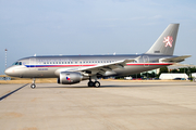 Czech Air Force Airbus A319-115X CJ (2801) at  Hamburg - Fuhlsbuettel (Helmut Schmidt), Germany