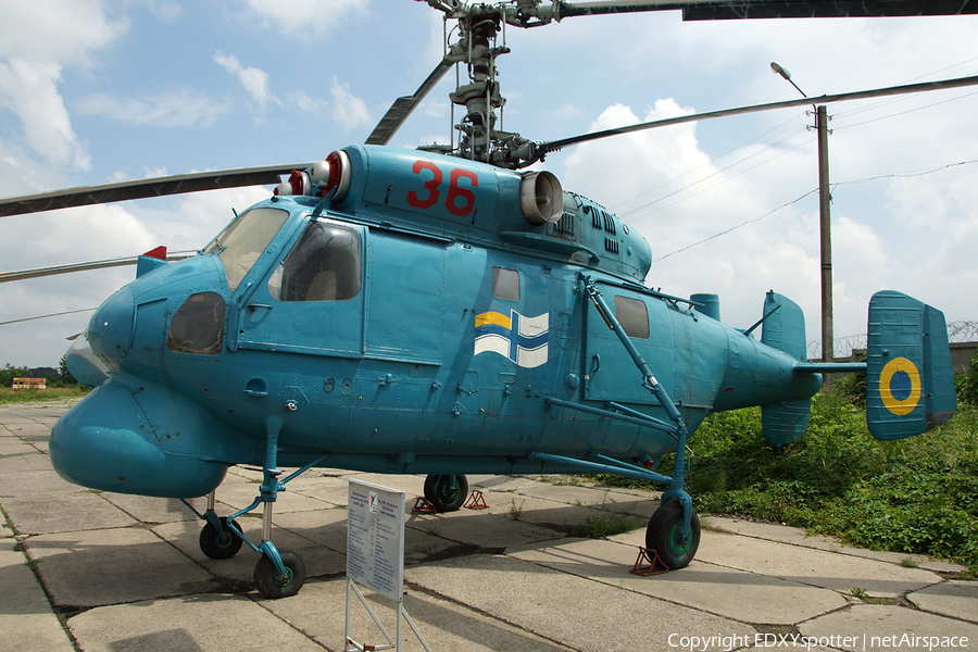 Ukrainian Navy Kamov Ka-25BSh Hormone-A (36 RED) | Photo 344670