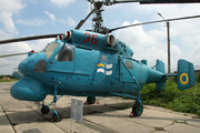 Ukrainian Navy Kamov Ka-25BSh Hormone-A (36 RED) at  Kiev - Igor Sikorsky International Airport (Zhulyany), Ukraine