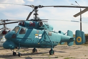 Ukrainian Navy Kamov Ka-25BSh Hormone-A (36 RED) at  Kiev - Igor Sikorsky International Airport (Zhulyany), Ukraine