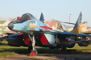 Ukrainian Air Force Mikoyan-Gurevich MiG-29C Fulcrum (31 WHITE) at  Kiev - Igor Sikorsky International Airport (Zhulyany), Ukraine