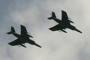 French Navy (Aéronavale) Dassault Super Etendard (30) at  Florennes AFB, Belgium