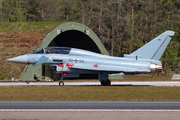 German Air Force Eurofighter EF2000(T) Typhoon (3005) at  Wittmundhafen Air Base, Germany