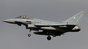 German Air Force (Luftwaffe) Eurofighter EF2000 Typhoon (3011) at  Norvenich Air Base, Germany