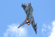 German Air Force (Luftwaffe) Eurofighter EF2000 Typhoon (3048) at  Rostock-Laage, Germany