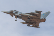 German Air Force (Luftwaffe) Eurofighter EF2000 Typhoon (3073) at  Albacete - Los Llanos Air Base, Spain