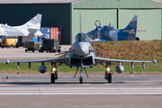 German Air Force Eurofighter EF2000 Typhoon (3090) at  Wittmundhafen Air Base, Germany