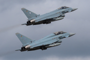 German Air Force (Luftwaffe) Eurofighter EF2000 Typhoon (3096) at  Rostock-Laage, Germany