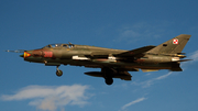 Polish Air Force (Siły Powietrzne) Sukhoi Su-22UM-3K Fitter-G (310) at  Radom, Poland