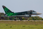 German Air Force (Luftwaffe) Eurofighter EF2000 Typhoon (3100) at  Berlin - Schoenefeld, Germany